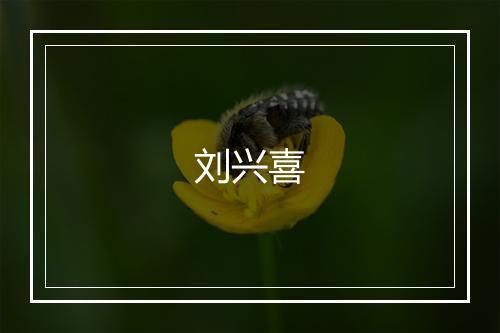 刘兴喜