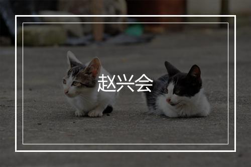 赵兴会