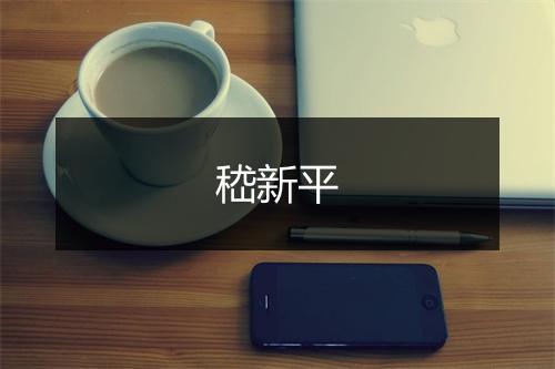 嵇新平