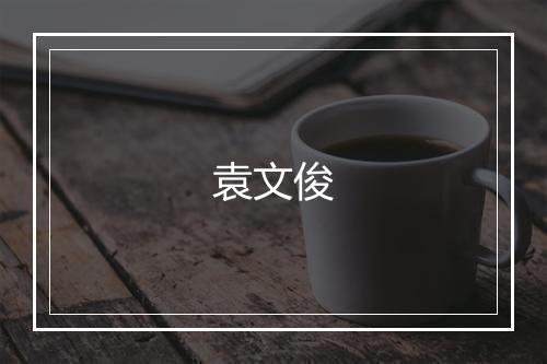 袁文俊