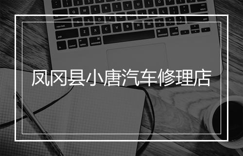 凤冈县小唐汽车修理店