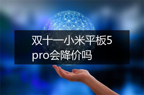 双十一小米平板5pro会降价吗