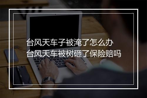 台风天车子被淹了怎么办 台风天车被树砸了保险赔吗