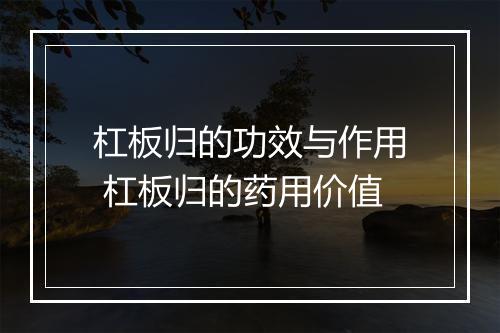 杠板归的功效与作用 杠板归的药用价值