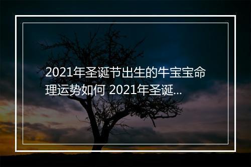 2021年圣诞节出生的牛宝宝命理运势如何 2021年圣诞节出生的牛宝宝的性格特点