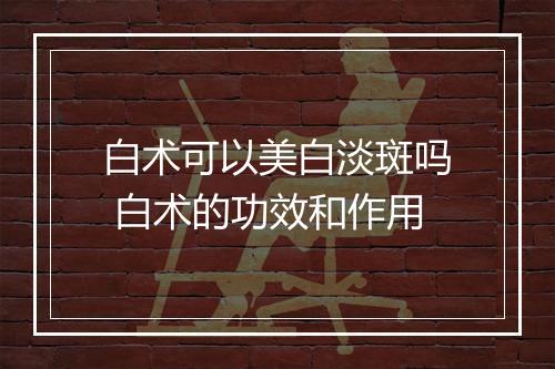 白术可以美白淡斑吗 白术的功效和作用