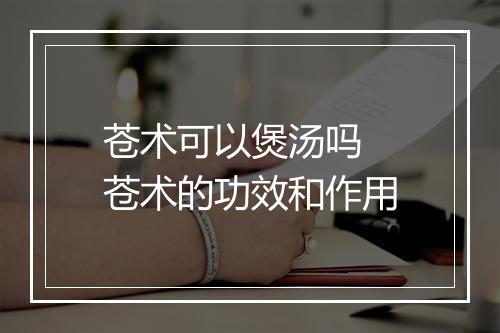 苍术可以煲汤吗 苍术的功效和作用