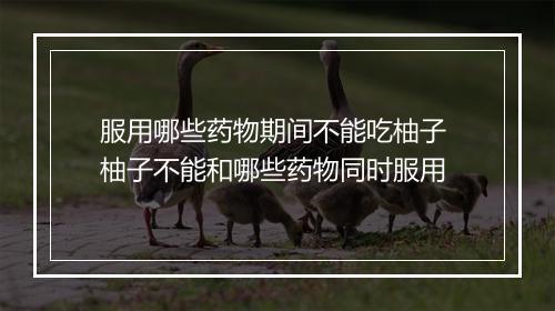 服用哪些药物期间不能吃柚子 柚子不能和哪些药物同时服用