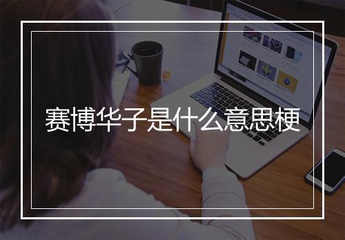 赛博华子是什么意思梗