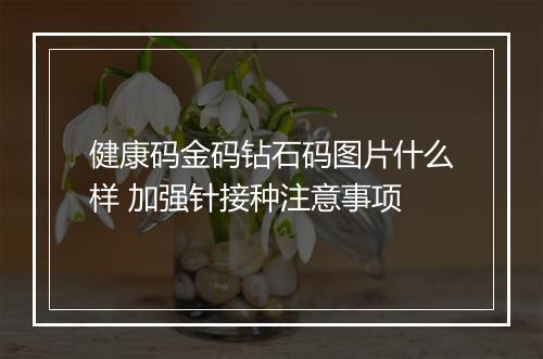 健康码金码钻石码图片什么样 加强针接种注意事项