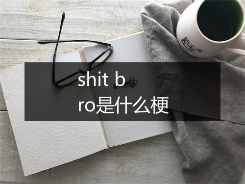 shit bro是什么梗