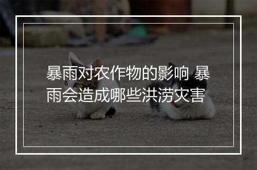 暴雨对农作物的影响 暴雨会造成哪些洪涝灾害