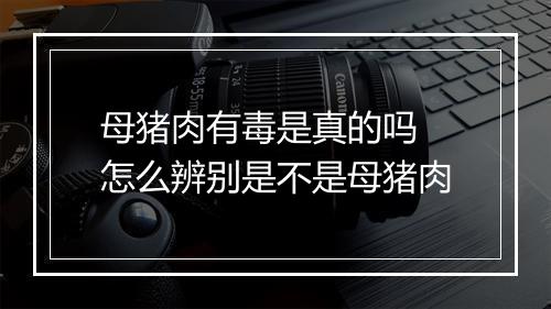 母猪肉有毒是真的吗 怎么辨别是不是母猪肉