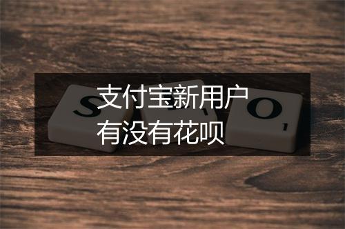 支付宝新用户有没有花呗