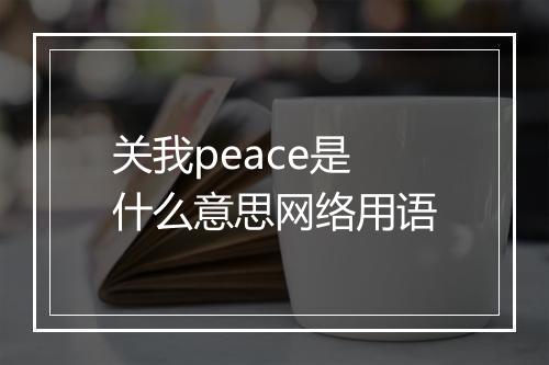 关我peace是什么意思网络用语