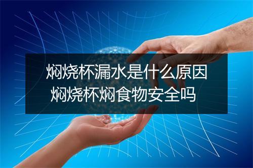 焖烧杯漏水是什么原因 焖烧杯焖食物安全吗