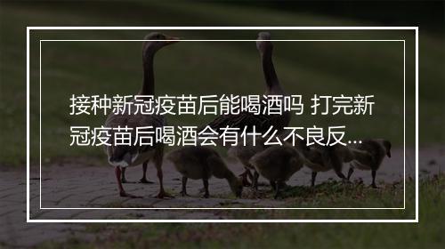 接种新冠疫苗后能喝酒吗 打完新冠疫苗后喝酒会有什么不良反应