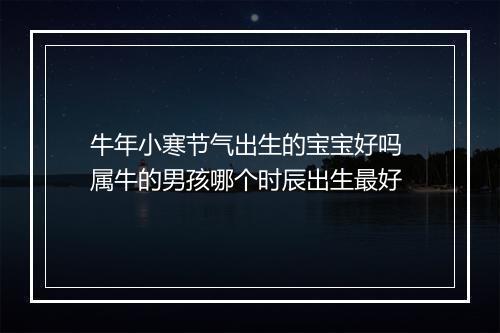 牛年小寒节气出生的宝宝好吗 属牛的男孩哪个时辰出生最好