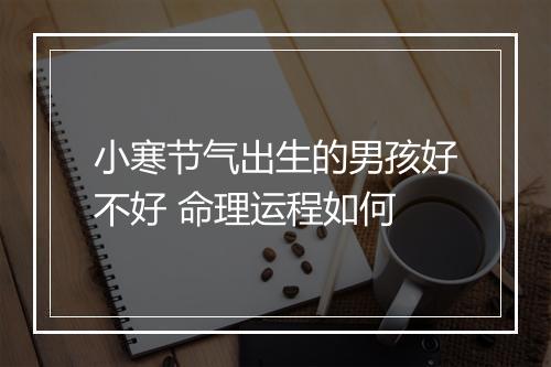 小寒节气出生的男孩好不好 命理运程如何
