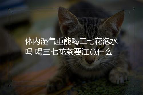 体内湿气重能喝三七花泡水吗 喝三七花茶要注意什么