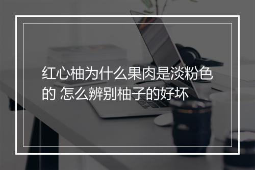 红心柚为什么果肉是淡粉色的 怎么辨别柚子的好坏