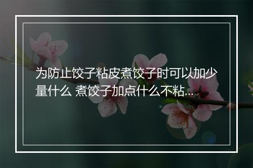 为防止饺子粘皮煮饺子时可以加少量什么 煮饺子加点什么不粘皮