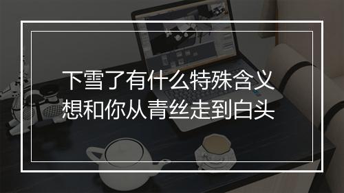 下雪了有什么特殊含义 想和你从青丝走到白头
