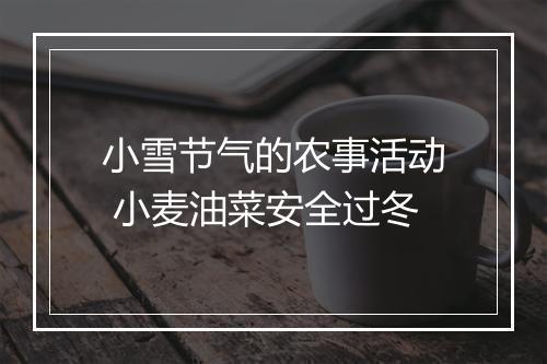 小雪节气的农事活动 小麦油菜安全过冬
