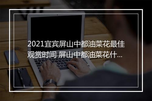 2021宜宾屏山中都油菜花最佳观赏时间 屏山中都油菜花什么时候开