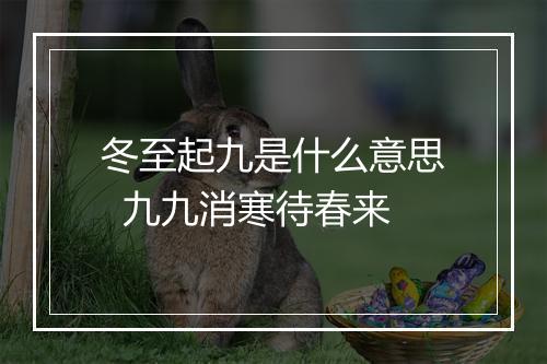 冬至起九是什么意思  九九消寒待春来