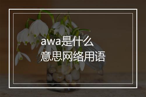 awa是什么意思网络用语