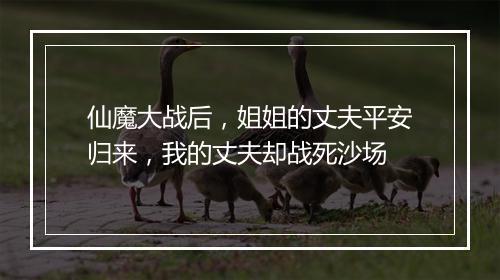 仙魔大战后，姐姐的丈夫平安归来，我的丈夫却战死沙场