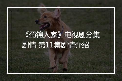 《蜀锦人家》电视剧分集剧情 第11集剧情介绍