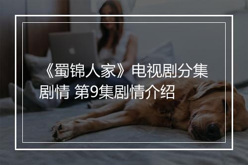 《蜀锦人家》电视剧分集剧情 第9集剧情介绍