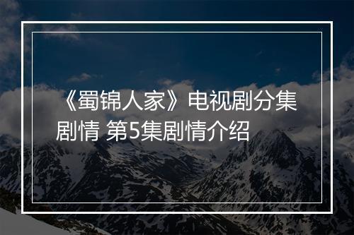 《蜀锦人家》电视剧分集剧情 第5集剧情介绍