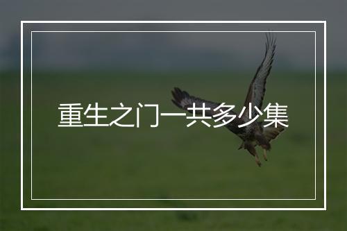 重生之门一共多少集