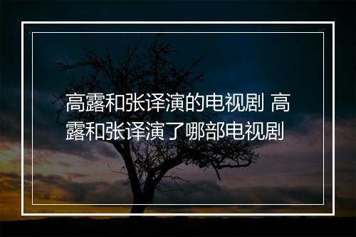 高露和张译演的电视剧 高露和张译演了哪部电视剧