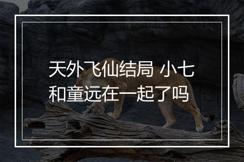 天外飞仙结局 小七和童远在一起了吗