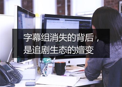 字幕组消失的背后，是追剧生态的嬗变