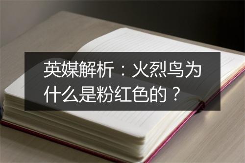 英媒解析：火烈鸟为什么是粉红色的？