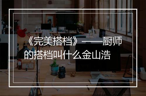 《完美搭档》——厨师的搭档叫什么金山浩