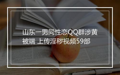 山东一男同性恋QQ群涉黄被端 上传淫秽视频59部