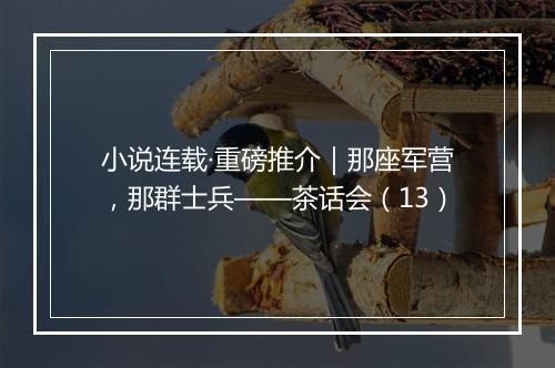 小说连载·重磅推介｜那座军营，那群士兵——茶话会（13）