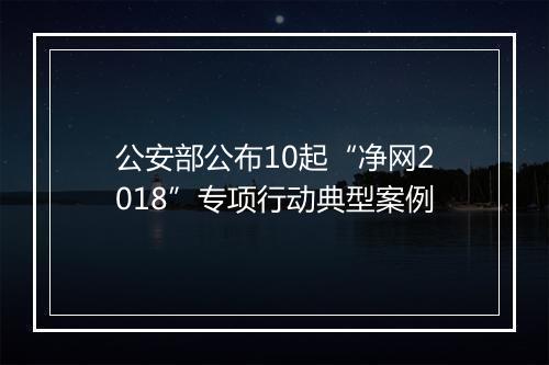 公安部公布10起“净网2018”专项行动典型案例