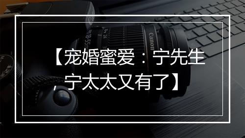 【宠婚蜜爱：宁先生，宁太太又有了】