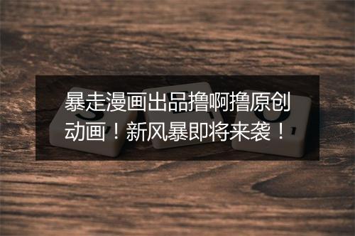 暴走漫画出品撸啊撸原创动画！新风暴即将来袭！