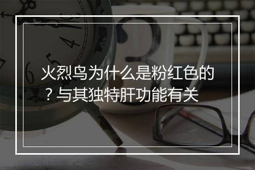 火烈鸟为什么是粉红色的？与其独特肝功能有关
