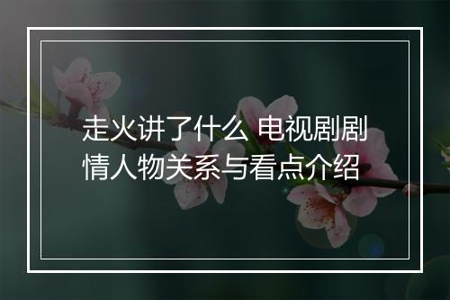 走火讲了什么 电视剧剧情人物关系与看点介绍