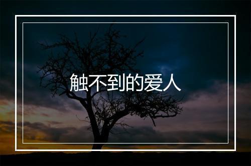 触不到的爱人