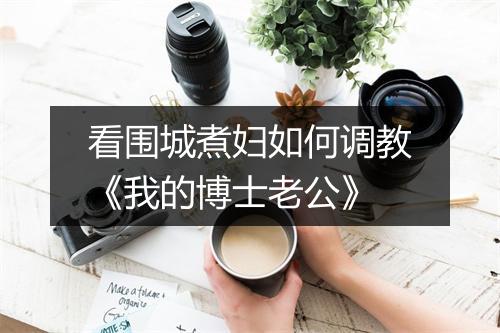 看围城煮妇如何调教《我的博士老公》